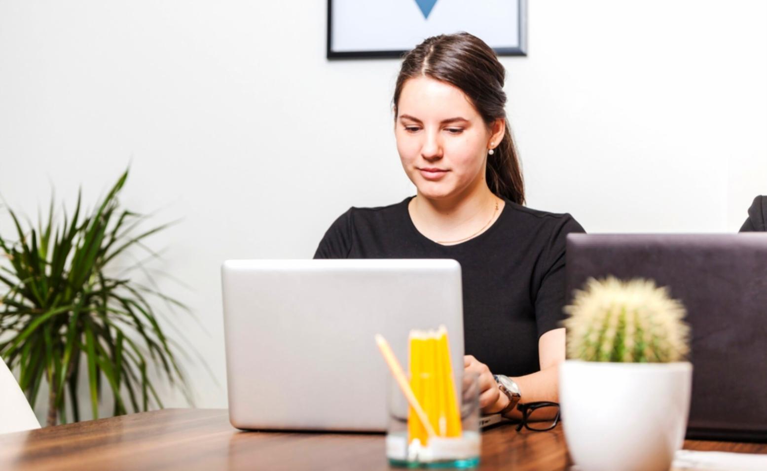 zerenxalthova office workspace with team members collaborating on budget projects